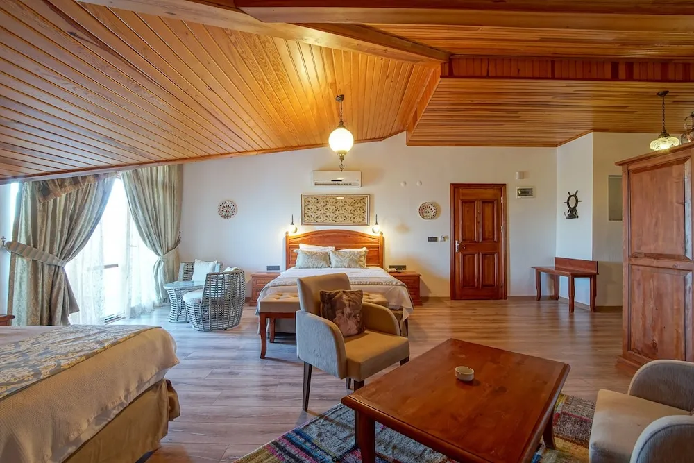 Panoramic Oda, Doğa Manzaralı, Çatı Katı