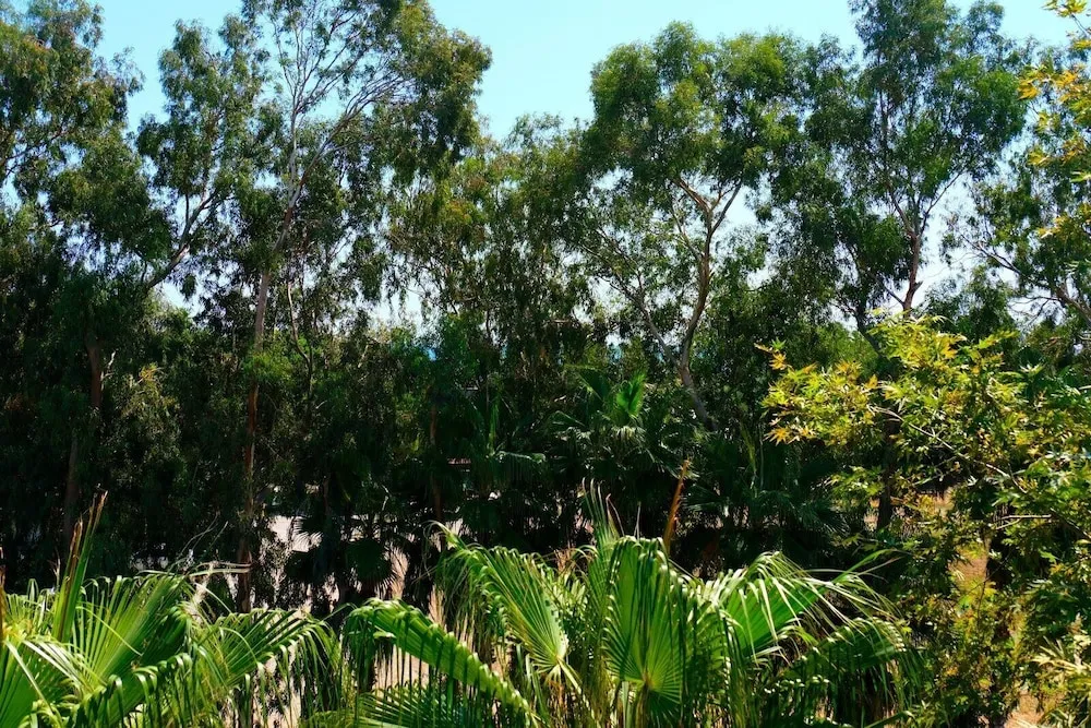 Deluxe Süit, 1 Yatak Odası