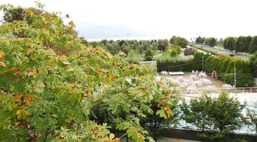 Superior Apart Daire