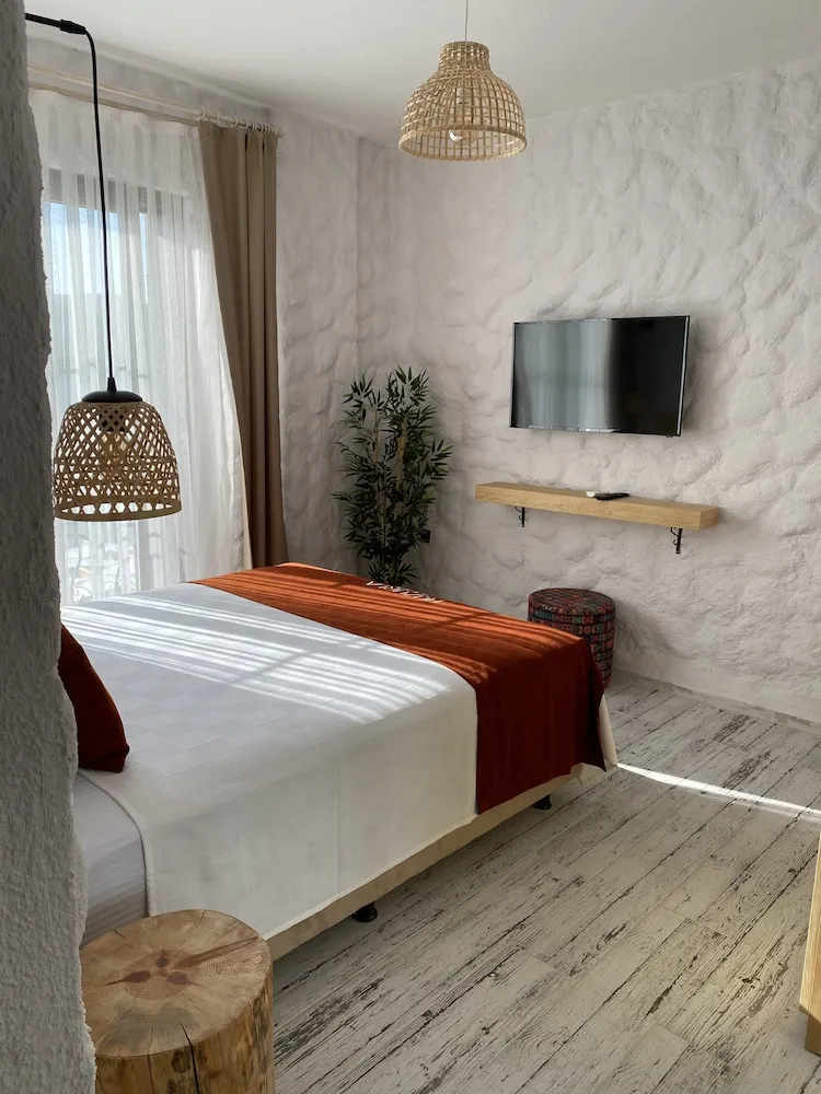 Standard Tek Büyük Yataklı Oda, Bahçe Manzaralı