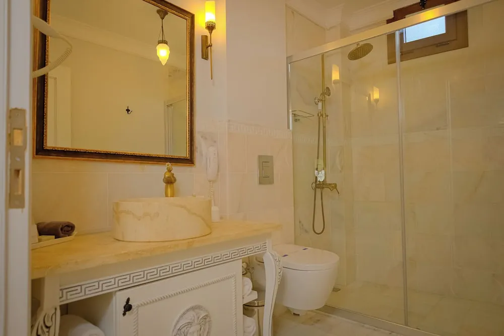 Deluxe Tek Büyük veya İki Ayrı Yataklı Oda