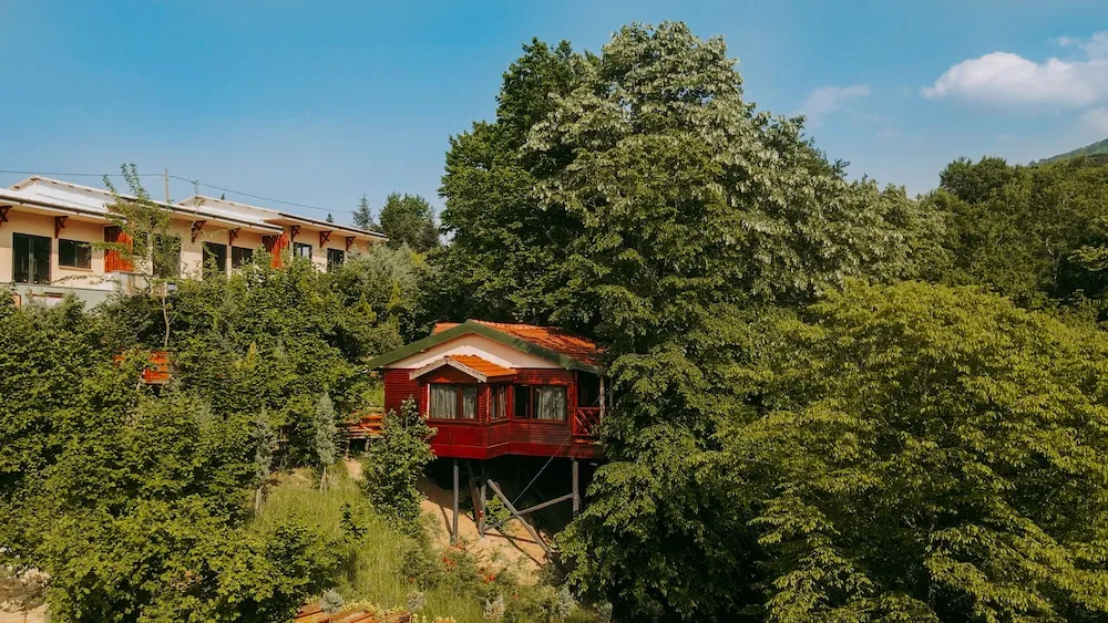 Luxury Ağaç Ev