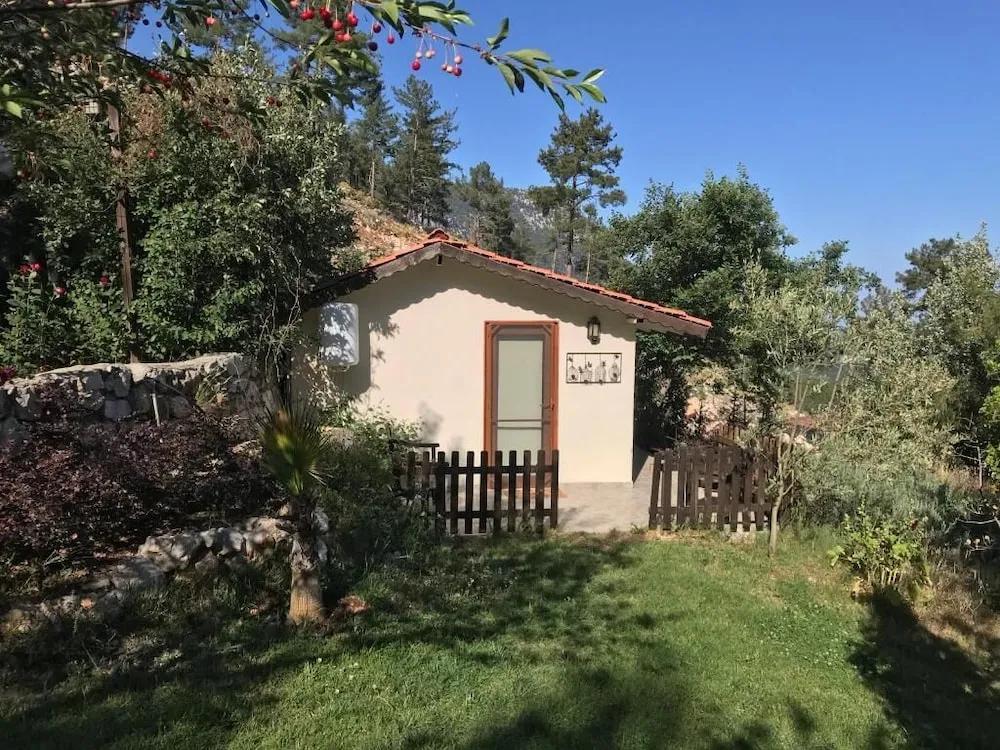 Kulübe, Avlu Manzaralı