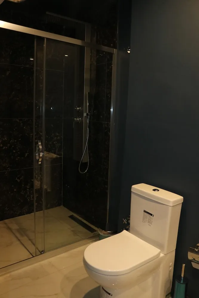 Executive Stüdyo Süit, 1 Çift Kişilik Yatak, Küvet