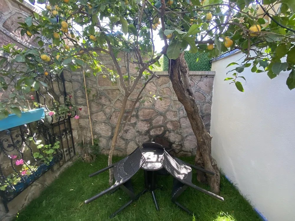 Standard Üç Kişilik Oda, Bahçe Manzaralı