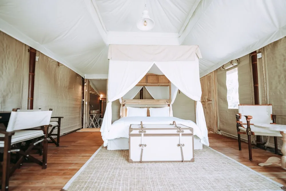 Tent