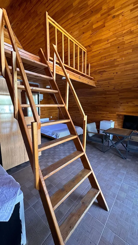 Design Oda, Birden Çok Yatak, Sigara İçilmez, Havuz Manzaralı
