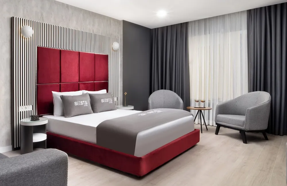 Deluxe Stüdyo, 1 Büyük (Queen) Boy Yatak ve Çekyat