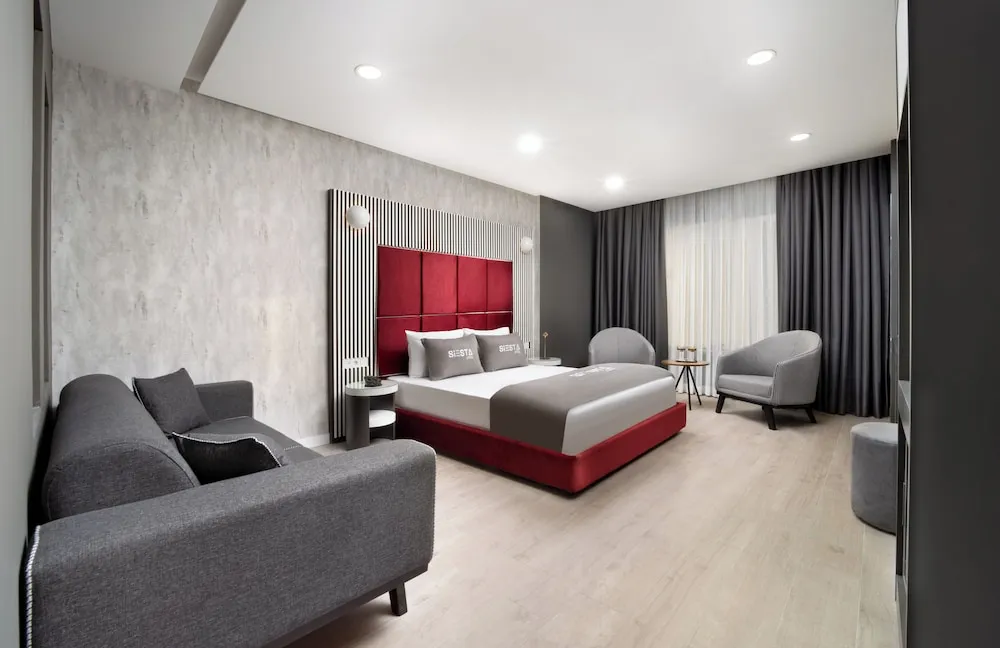 Deluxe Stüdyo, 1 Büyük (Queen) Boy Yatak ve Çekyat