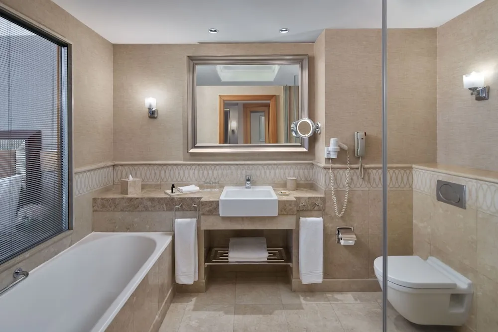 Executive İki Ayrı Yataklı Oda, Şehir Manzaralı