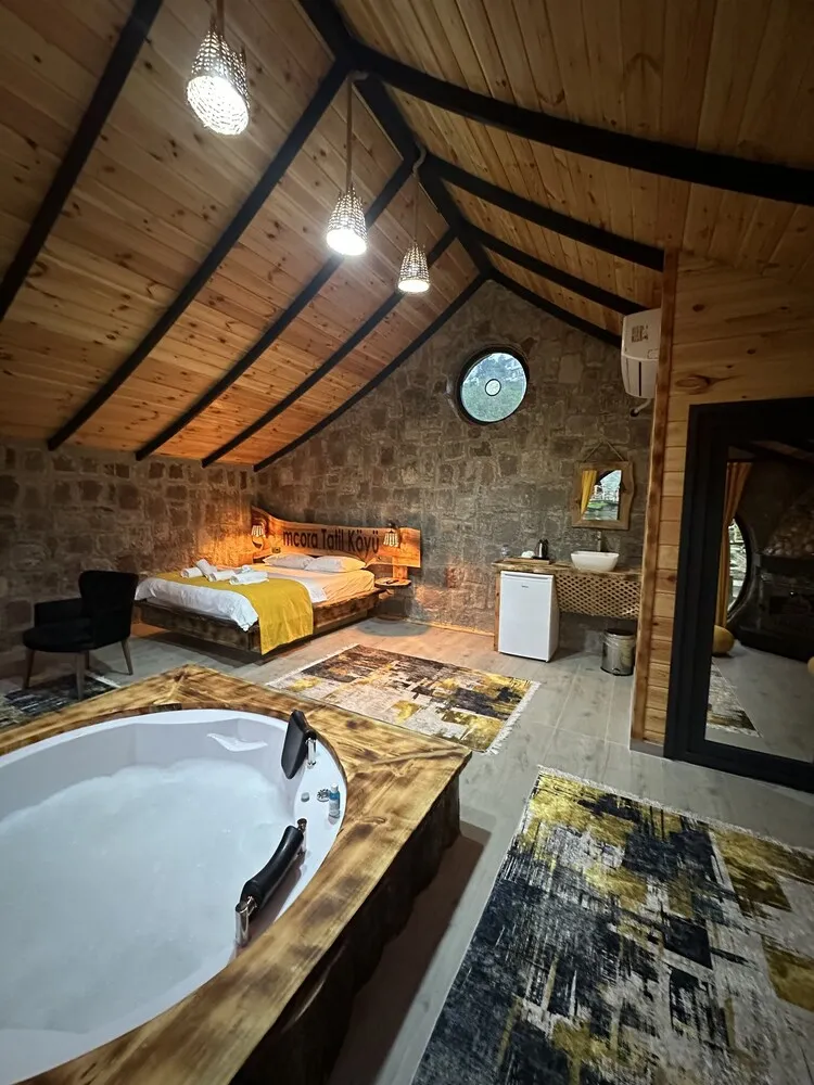Deluxe Stüdyo Süit, 1 Yatak Odası, Havuz Manzaralı