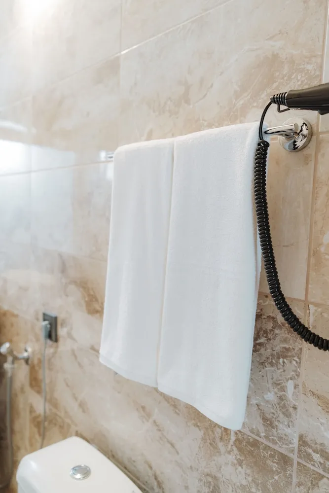 Deluxe Çatı Katı Süiti (Penthouse)