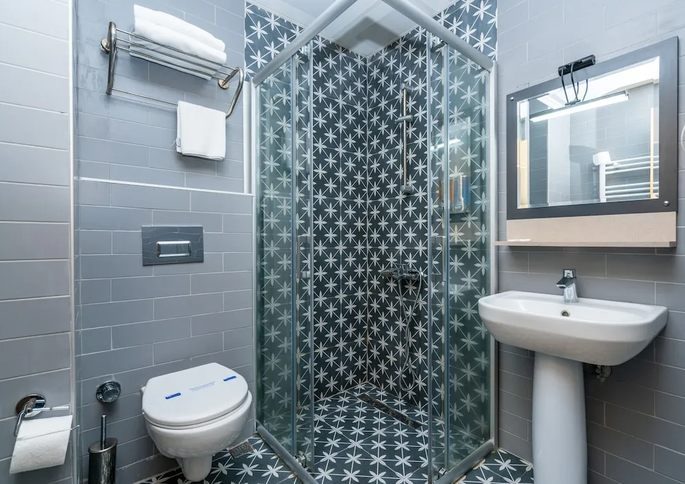 Deluxe Oda, 1 Yatak Odası, Şehir Manzaralı