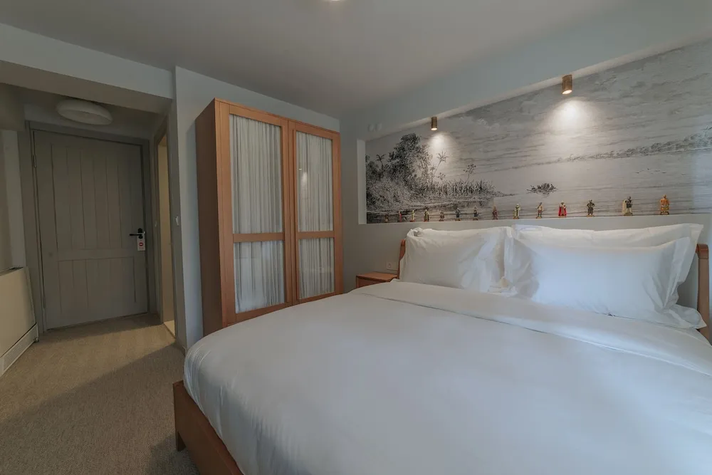 Standard Tek Büyük Yataklı Oda, Sigara İçilmez, Şehir Manzaralı