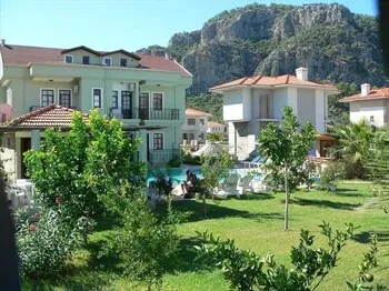 Sirius Yıldızı