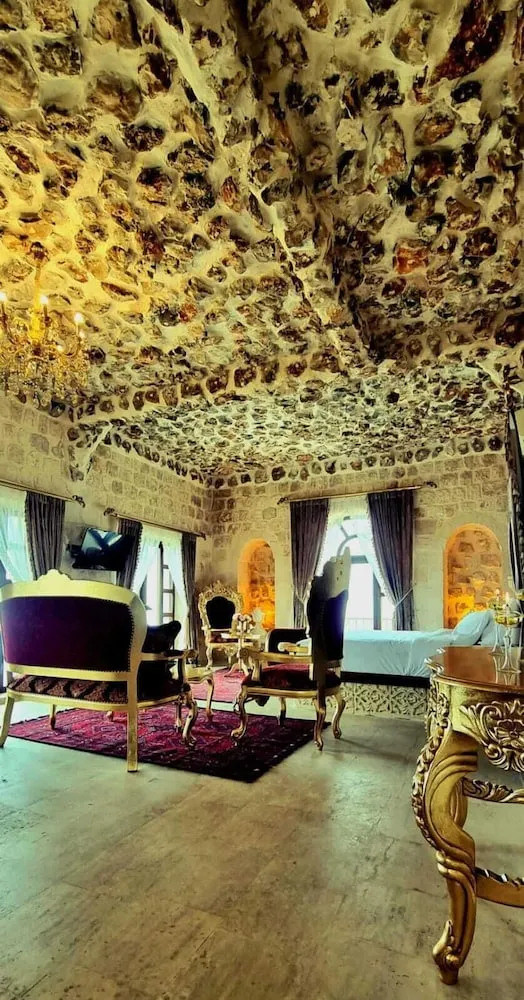 Business Süit, 1 En Büyük (King) Boy Yatak, Özel Banyo, Şehir Manzaralı