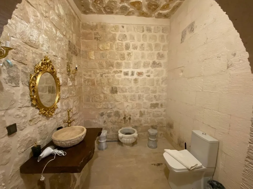 Business Süit, 1 En Büyük (King) Boy Yatak, Özel Banyo, Şehir Manzaralı