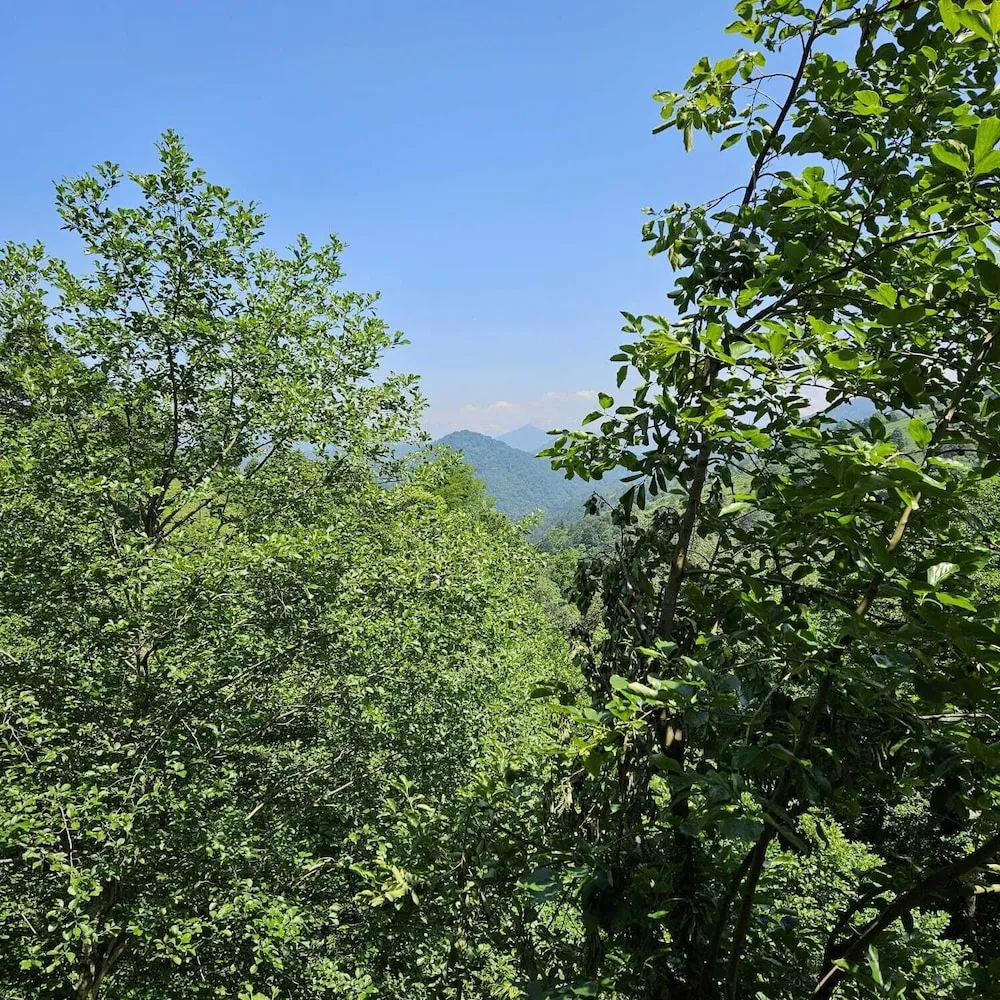 Tek Büyük Yataklı Oda, Balkon, Dağ Manzaralı