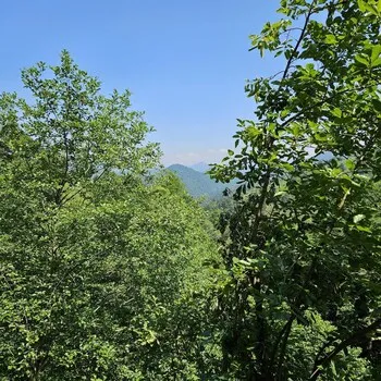 Elagza Dağ Evleri