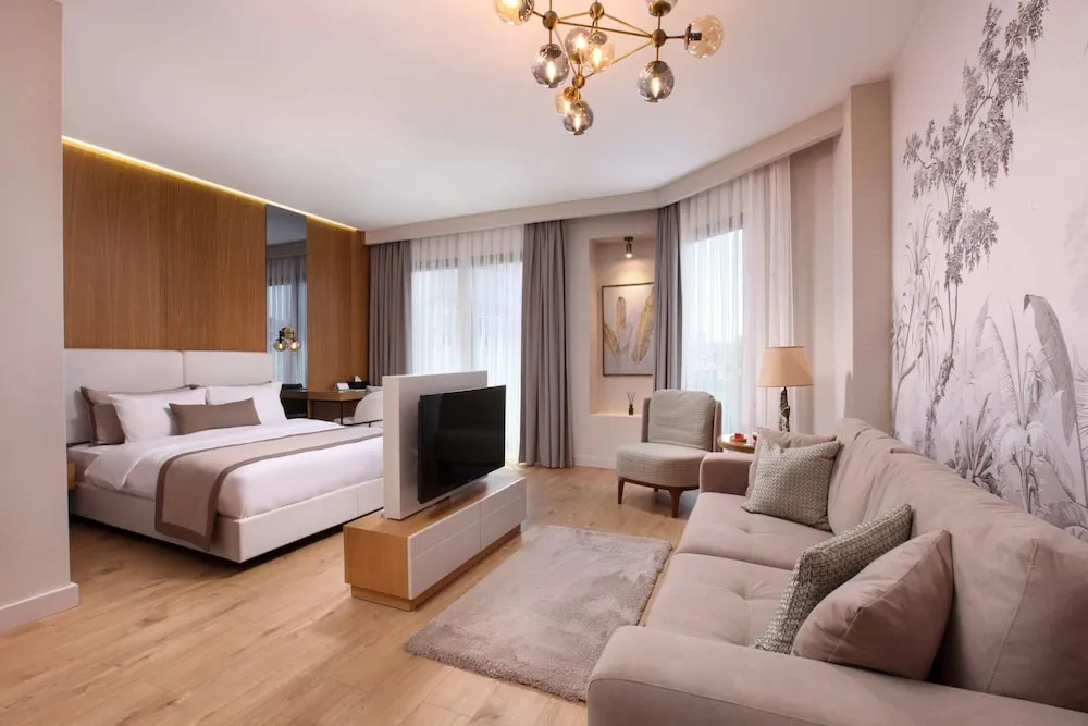 Deluxe Oda, 1 En Büyük (King) Boy Yatak, Sigara İçilmez, Şehir Manzaralı