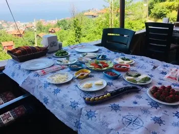 Şahin Tepesi Pansiyon