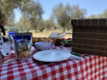 Elysium Garden Assos Bungalow & Glamping