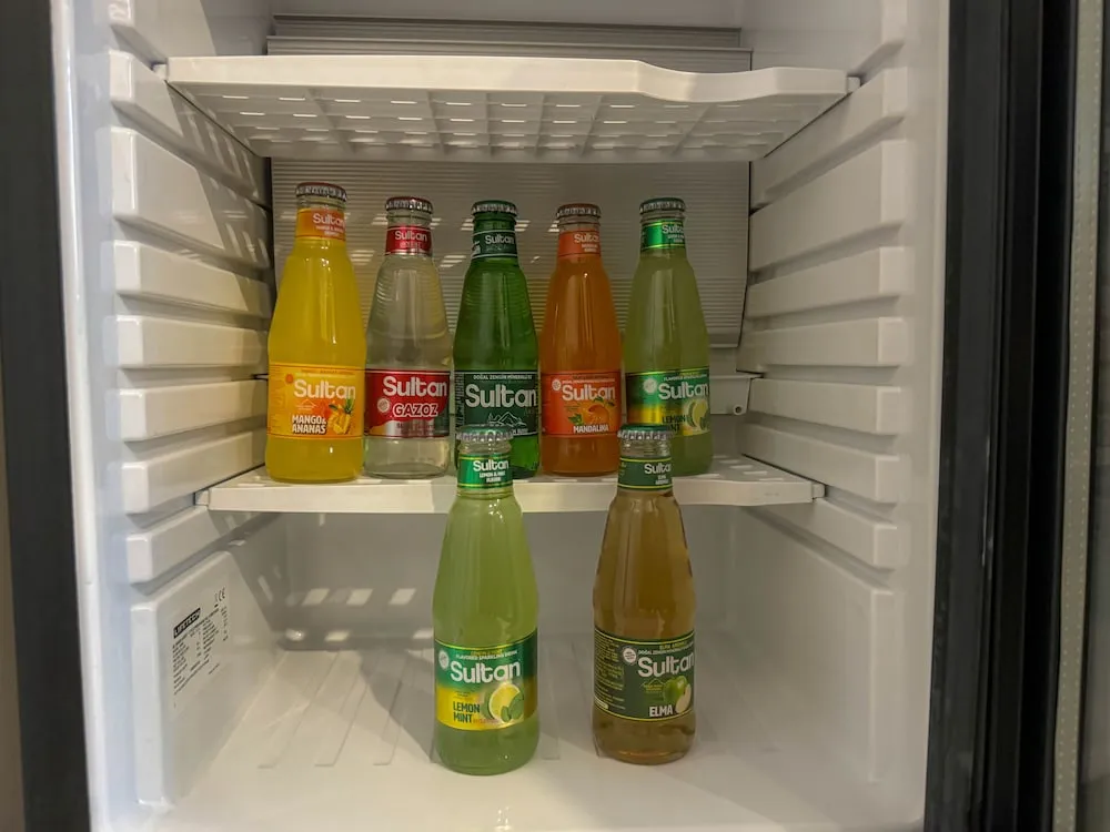 Superior Tek Büyük Yataklı Oda