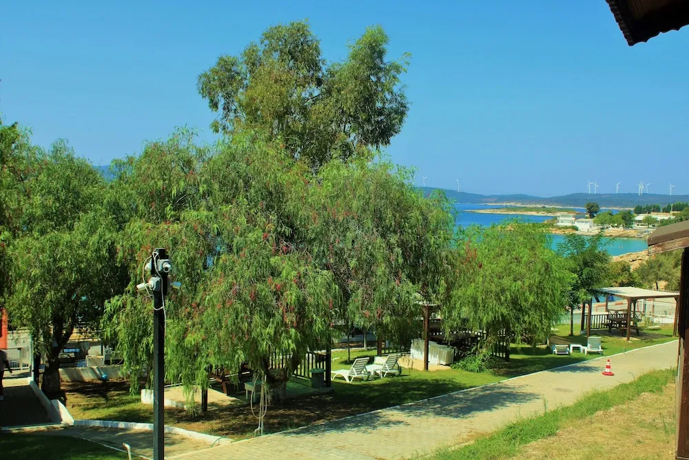 Design Ağaç Ev