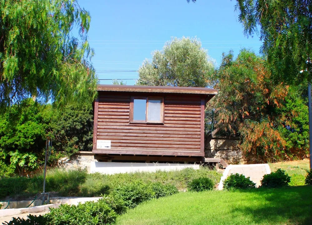Design Ağaç Ev