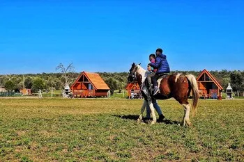 Ayvalık Sural Çiftliği