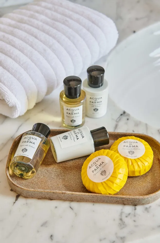 Luxury Tek Büyük Yataklı Oda