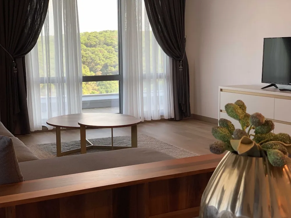 1 Bedroom Suite