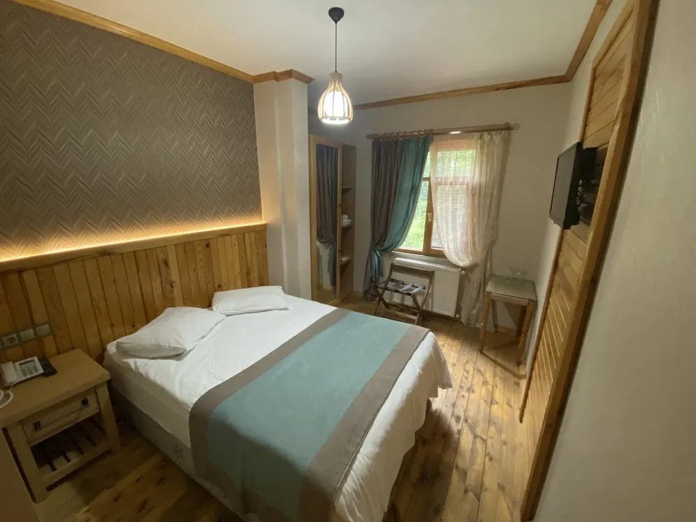 Standard Tek Büyük veya İki Ayrı Yataklı Oda, Dağ Manzaralı