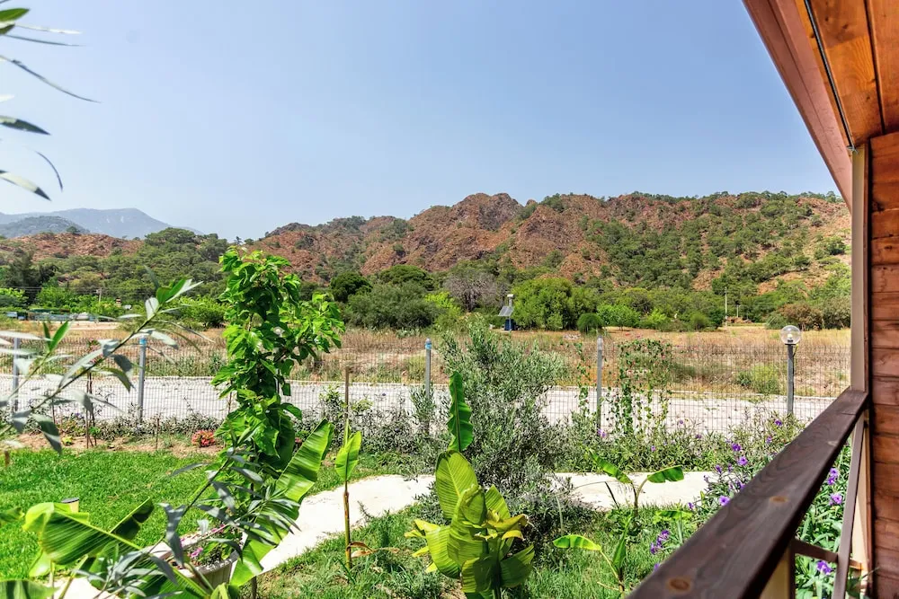 Basic Oda, Veranda, Bahçe Manzaralı