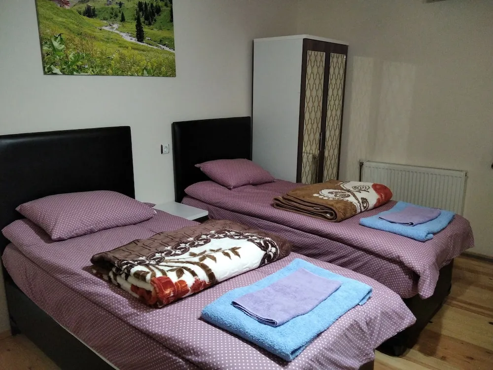 Standard Üç Kişilik Oda, Dağ Manzaralı