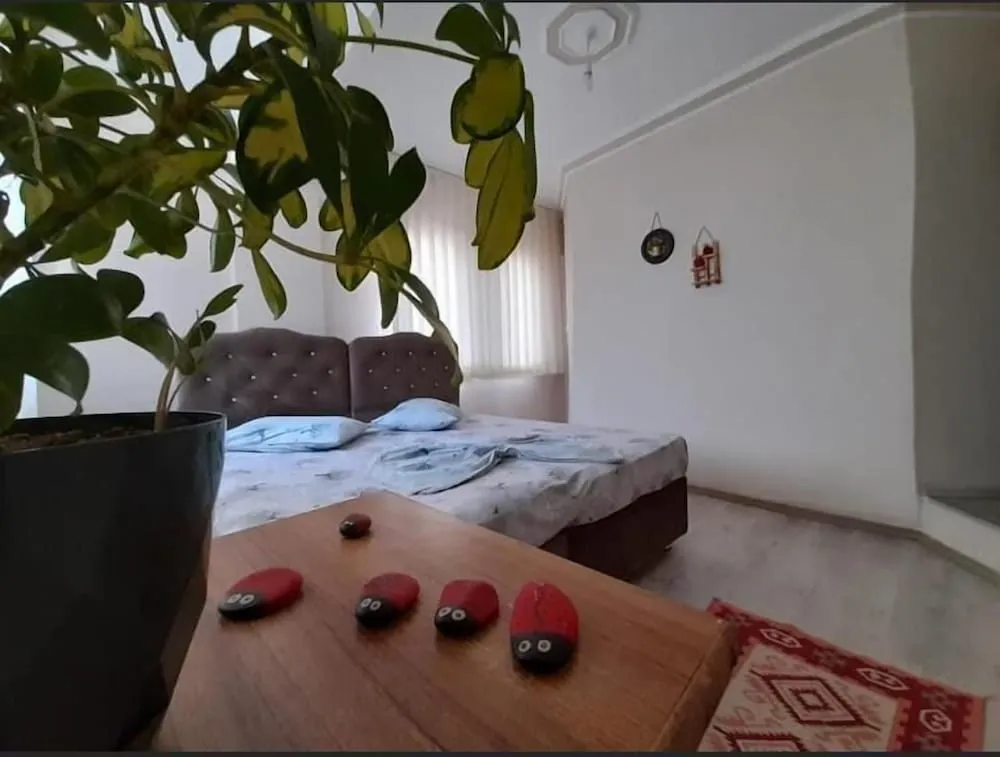 Classic Tek Büyük veya İki Ayrı Yataklı Oda, 1 Yatak Odası, Bahçe Manzaralı
