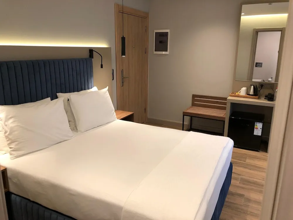 Deluxe Oda, 1 Büyük (Queen) Boy Yatak, Sigara İçilmez, Özel Banyo