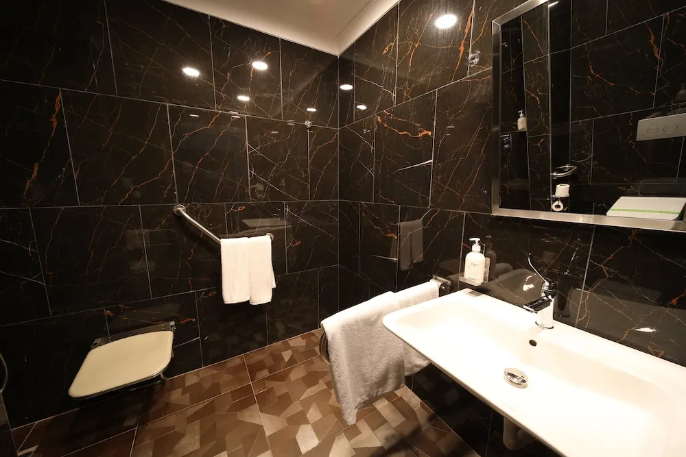 Premium Oda, 1 En Büyük (King) Boy Yatak, Engellilere Uygun, Sigara İçilebilir