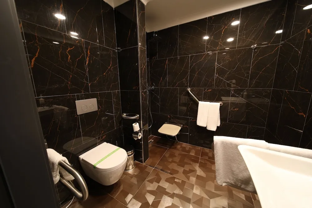 Premium Oda, 1 En Büyük (King) Boy Yatak, Engellilere Uygun, Sigara İçilebilir