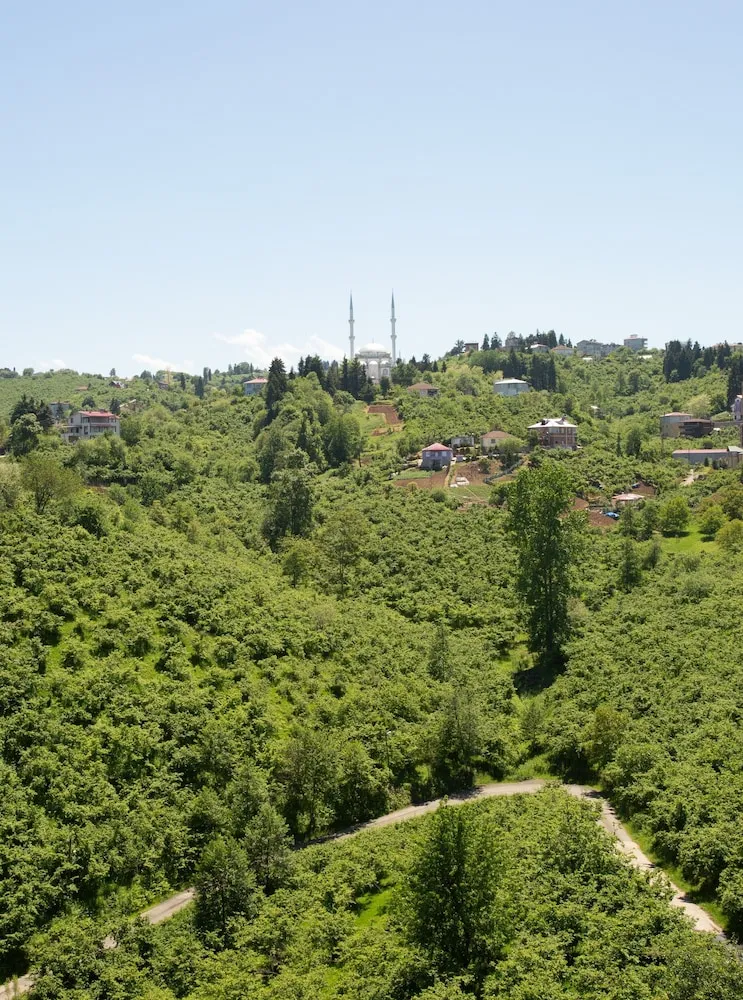 Superior Apart Daire