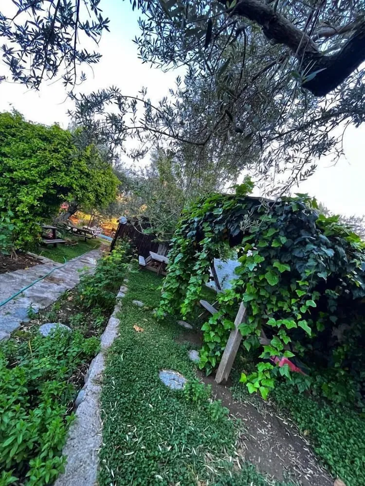 Ağaç Ev, Birden Çok Yatak, Balkon/Veranda, Havuz Manzaralı