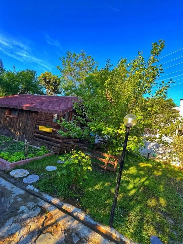 Ağaç Ev, Birden Çok Yatak, Balkon/Veranda, Havuz Manzaralı