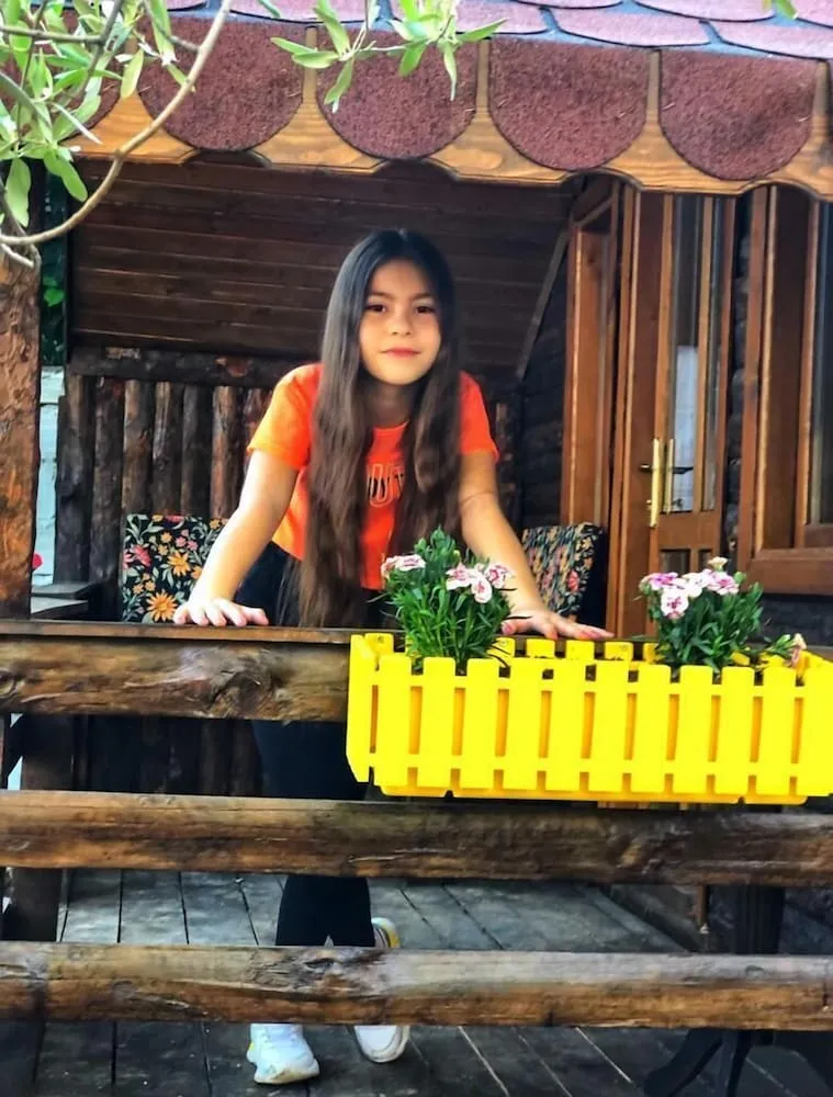 Business Ağaç Ev, 1 Büyük (Queen) Boy Yatak, Şömine, Avlu Manzaralı