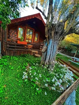 Zeytin Dağı Bungalov