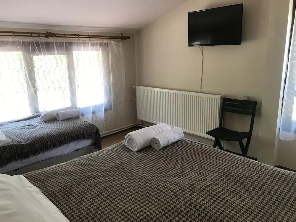 Standard Oda, Birden Çok Yatak, Dağ Manzaralı