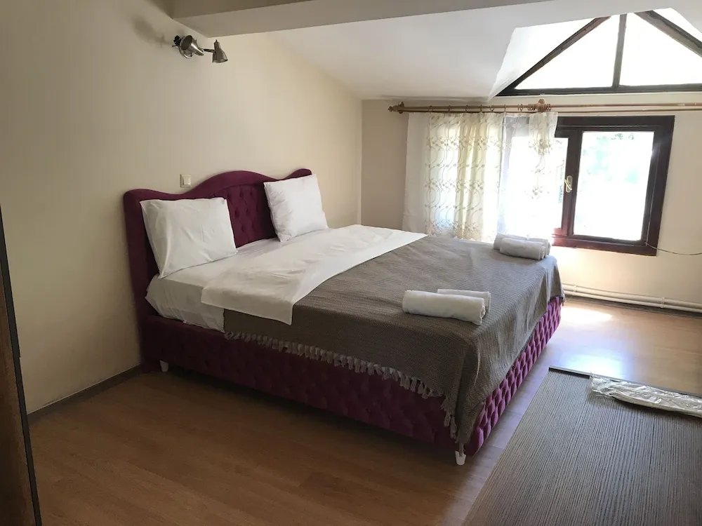 Standard Oda, 1 En Büyük (King) Boy Yatak, Dağ Manzaralı