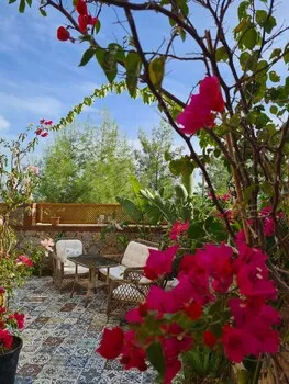 Amber Suites Akyaka +6