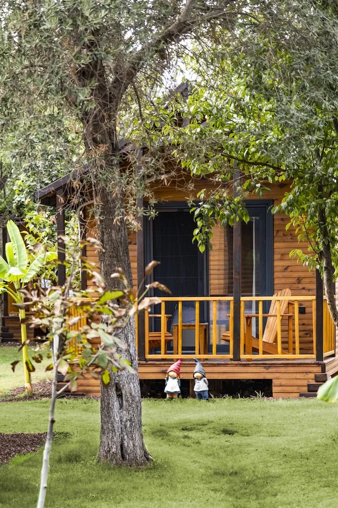 Basic Bungalov