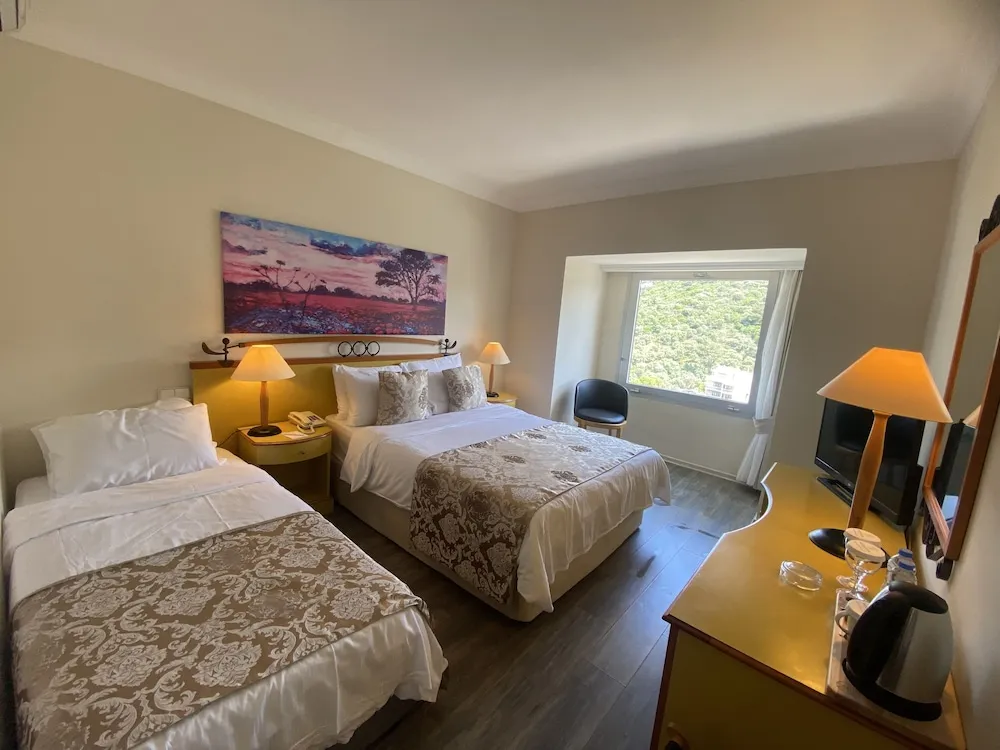 Comfort Oda, Sigara İçilmez, Dağ Manzaralı
