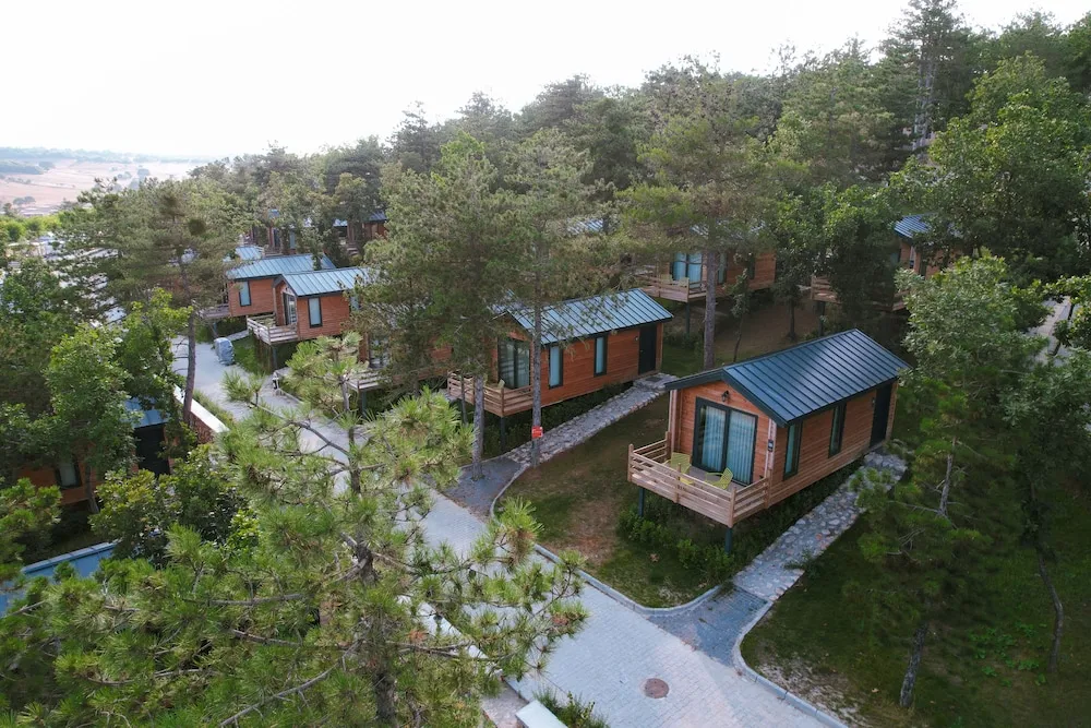 Nefes Dağyenice Doğada